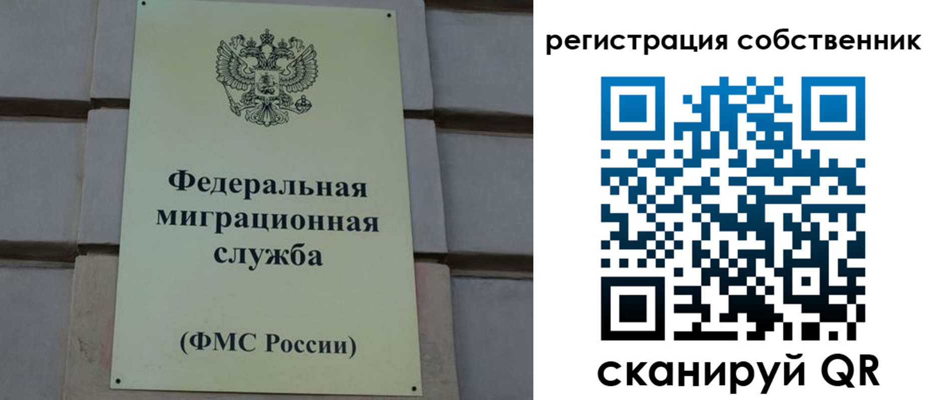 прописка гарантия в Тереке